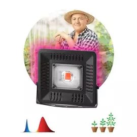 Уличный светильник Эра FITO-50W-LED
