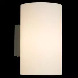 Уличный светильник Maytoni CAMDEN O008WL-01S