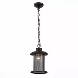 Уличный Светильник St Luce LASTERO SL080.403.01