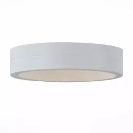 Уличный Светильник St Luce MOLTO SL562.501.01