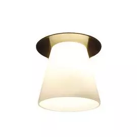 Встраиваемый Светильник Arte Lamp Cool Ice A8550PL-1AB
