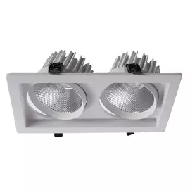 Встраиваемый светильник Arte Lamp PRIVATO A7018PL-2WH