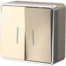 Выключатель двухклавишный с подсветкой Gallant (шампань рифленый) Werkel WL15-03-03 4690389129681