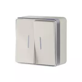 Выключатель двухклавишный с подсветкой Gallant (слоновая кость) Werkel WL15-03-03 4690389102202