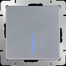 Выключатель одноклавишный с подсветкой (серебряный) Werkel WL06-SW-1G-LED 4690389053856