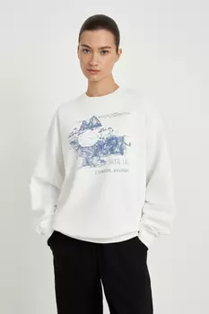 Толстовка свободного силуэта из капсулы "Байкал"