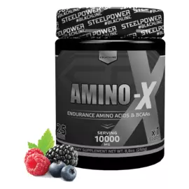 Аминокислотный комплекс AMINO-X, вкус «Лесные ягоды», 250 г, STEELPOWER