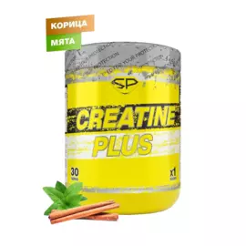 CREATINE PLUS, вкус Фьюри (Корица/Мята), 300 г, SteelPower