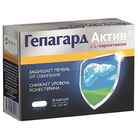 Гепагард актив, 30 капсул, Гепагард