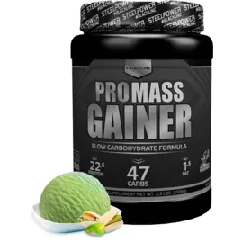 Гейнер PRO MASS GAINER, вкус «Фисташковое мороженое», 1500 г, STEELPOWER