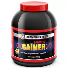 Гейнер SPORTEIN GAINER, вкус ваниль, 2500 г, Академия-Т