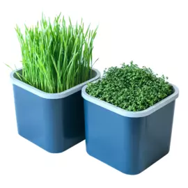 Проращиватель 2х-модульный, Графит, Здоровья клад