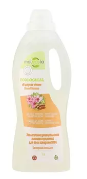Универсальное моющее средство для всех поверхностей «Цветущий миндаль», 1 л, Molecola