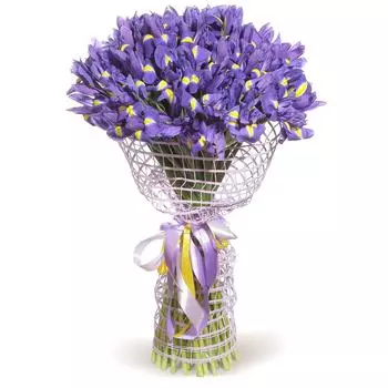 Айрис: Синие ирисы