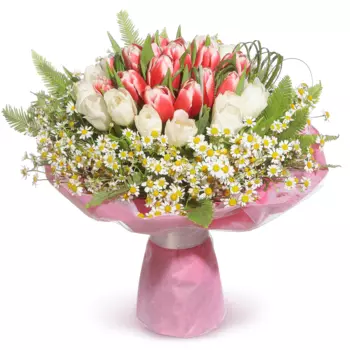 Амели: Тюльпаны и ромашки