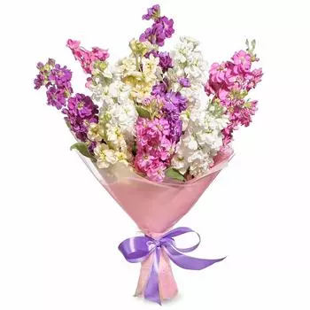 Beautymania: Маттиола микс