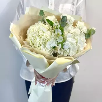 Белоснежное Сияние