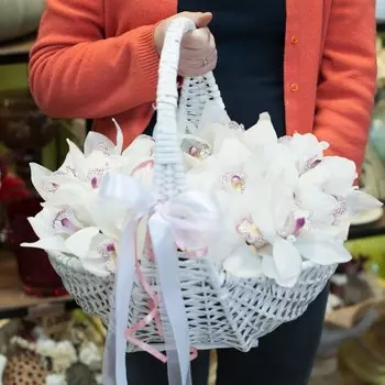 Белоснежные орхидеи