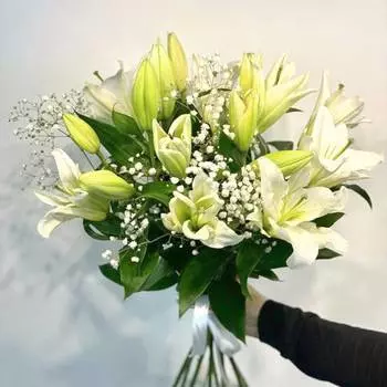 Белые искры (голландская лилия)