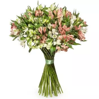 Букет альстромерий