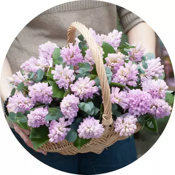 Букет «Flora Express»