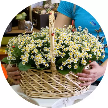 Букет «Flora Express»