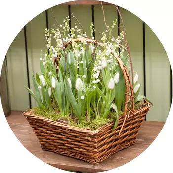 Букет «Flora Express»