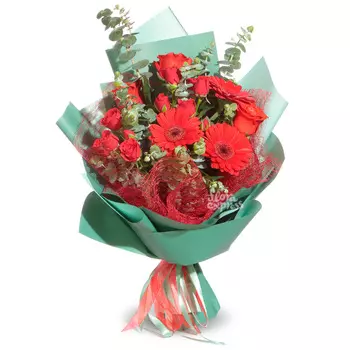 Букет из сухоцветов Олбани