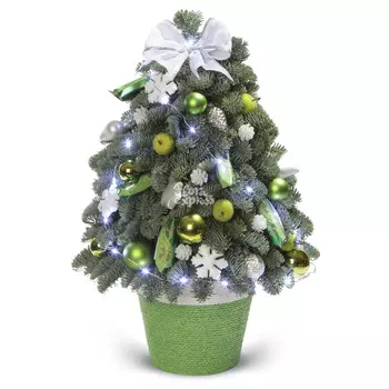 Букет «Flora Express»