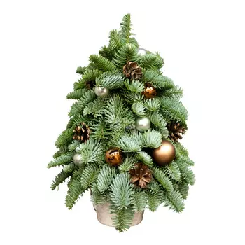 Букет «Flora Express»