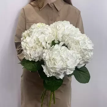 Букет из белых гортензий