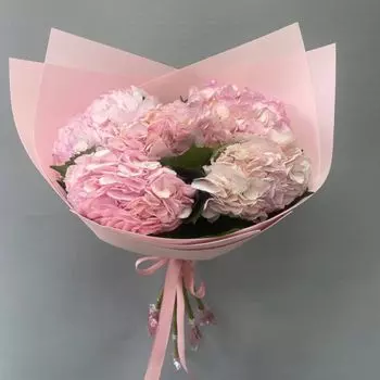 Букет из розовой гортензии "Розовый фламинго"