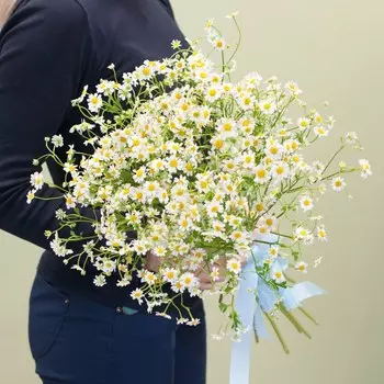 Букетик ромашек