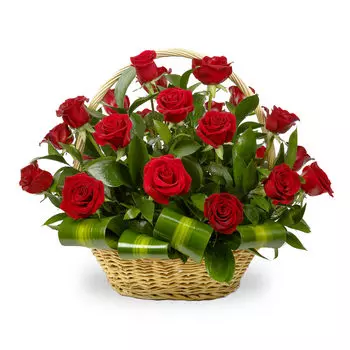 Фламенко: Розы и зелень