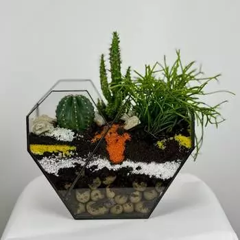 Флорариум "Сердце"