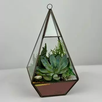 Флорариум вертикальный "Конус"