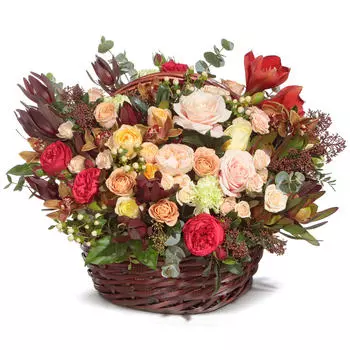 Freedom: Розы и орхидеи