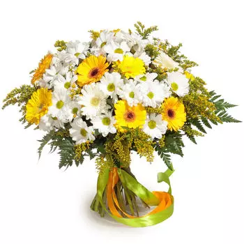 Гелия: Герберы и хризантемы