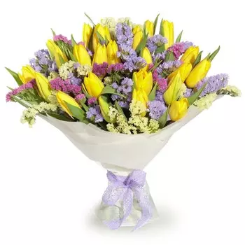 Гемера: Тюльпаны и статица