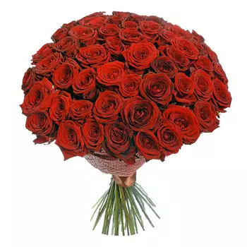 Impression: Розы