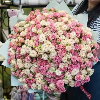 Итальянский Зефир