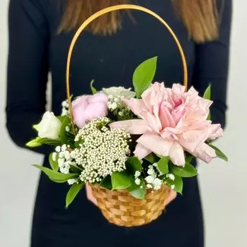 Изумительный сюрприз