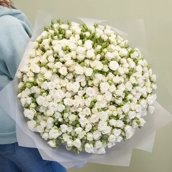 Эксклюзив Сенсейшн