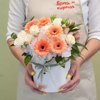 Колокольчик