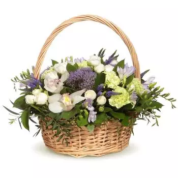 Корзина с орхидеей и гвоздикой