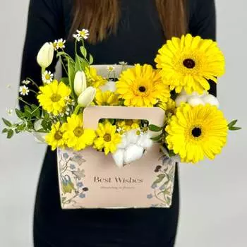 Летнее солнце