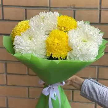 Летние хризантемы