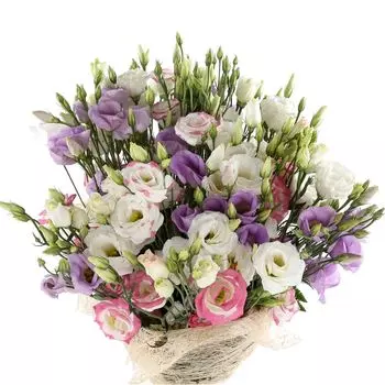 Лилас: Микс лизиантусов