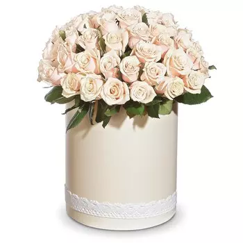 Любимой: Розы