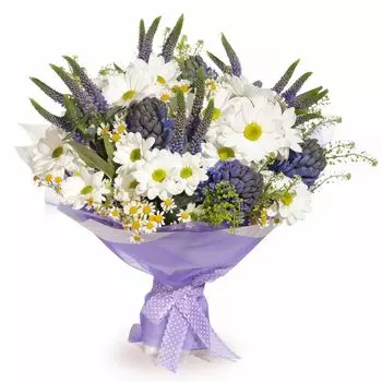 Мечтательница: Хризантемы и гиацинты